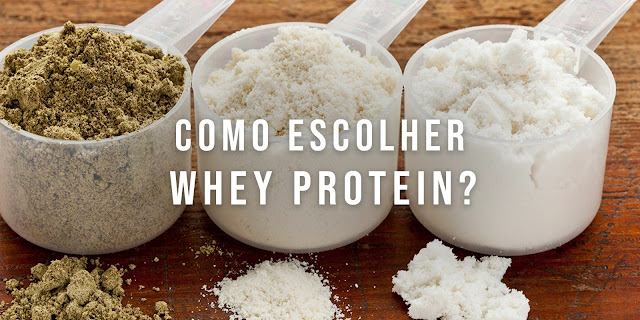 Whey Isolada da Soja vs. Whey Isolado do Soro do Leite vs. Whey Concentrado: Qual é o Melhor para Ganho de Massa Magra?